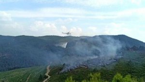 Manisa'da alevler, 5 dönüm ormanı küle çevirdi