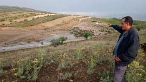 Manisa'daki Gülpınar Göleti su tutmaya başladı