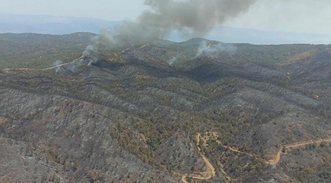 Marmaris yangınında alevlerin ilerlemesi, karşı ateşle önlenmiş