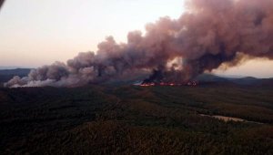 Marmaris'in 'Amazon'u yandı