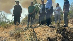 Marmaris'teki orman yangınında ikinci gün