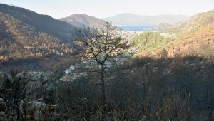 Muğla'da bazı bölgelerde ormanlara giriş yasaklandı