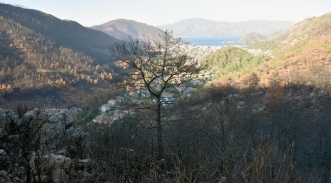 Muğla'da bazı bölgelerde ormanlara giriş yasaklandı