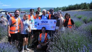 Muğla'da Lavanta Şenliği başladı