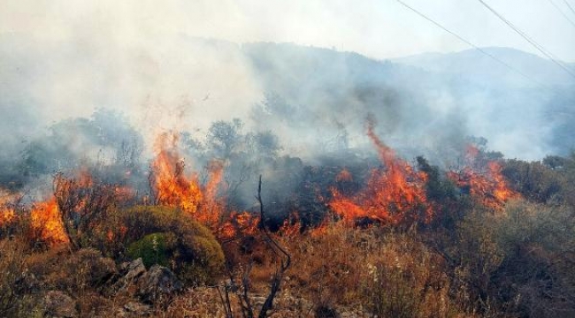 Muğla'da orman yangınında 1 hektar alan zarar gördü