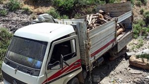 Ormanda kaçak ağaç keserken suçüstü yakalandı