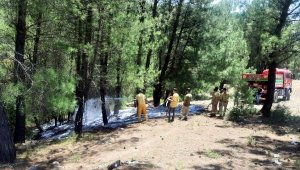 Ormanı yakan madde bağımlısı tutuklandı