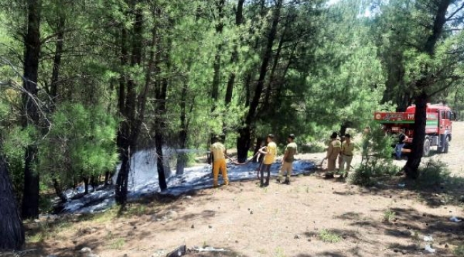 Ormanı yakan madde bağımlısı tutuklandı