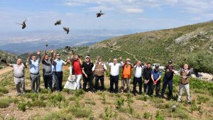 Salihli'de çekirgeyle mücadele için 250 kınalı keklik doğaya salındı