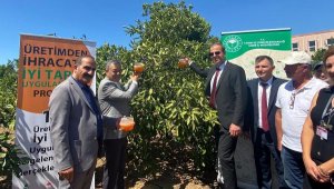 Üretimden İhracata İyi Tarım Projeleri Menderes'te tanıtıldı