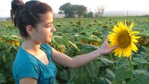 Yağlı Tohumlar Kooperatifi üretciye, 1 milyon 650 bin TL ek ödeme yapacak