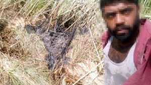 Yangın çıkarıp, selfie yapmış