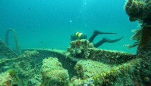 Yerli ve yabancı dalgıçlar Gelibolu Tarihi Sualtı Parkı'na dalıyor