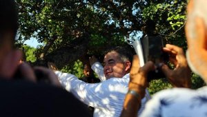 20 bin sakız ağacı dikilmek için saksılarda bekliyor