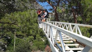 Ağaca takılan paraşütçü itfaiye tarafından kurtardı