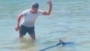 Zarganayı tokatla sersemletip yakaladı