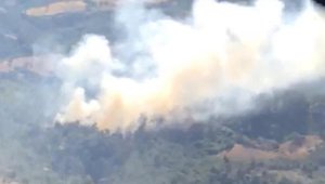 Akhisar'da orman yangını! Köylüler yardıma koştu