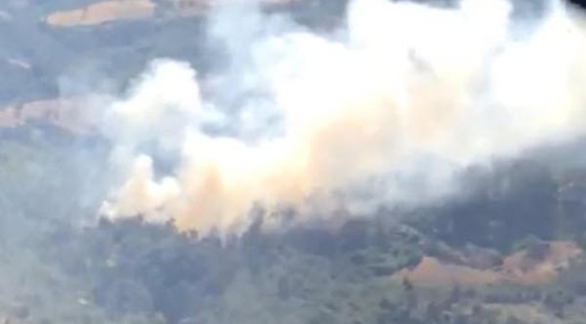 Akhisar'da orman yangını! Köylüler yardıma koştu