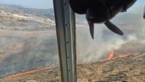 Aliağa'da makilik yangını! Müdahale başladı