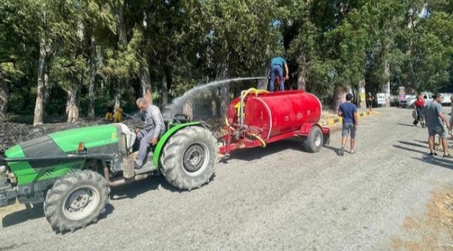 Aşıklar Yolu'ndaki okaliptüs ağaçları yanmaktan kurtarıldı