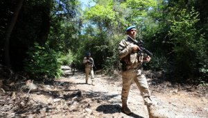 Aydın'da ormanlara girişler 23- 27 Temmuz tarihleri arasında yasaklandı