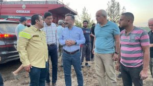 Aydın'daki orman yangınında 30 hektarlık alan zarar gördü