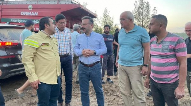 Aydın'daki orman yangınında 30 hektarlık alan zarar gördü