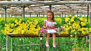 Bademler, çiçeğiyle Hollanda Borsası'nda