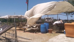 Bayram bitti, bu çirkin görüntüler kaldı!