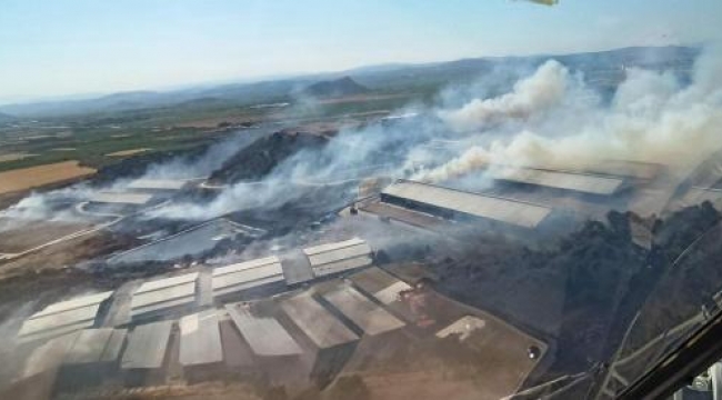 Bergama'da makilik yangını fabrikaya sıçradı
