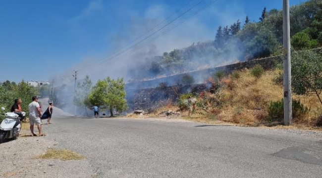 Bodrum'da 1 dönüm otluk yandı