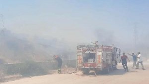 Bodrum'da makilik yangını