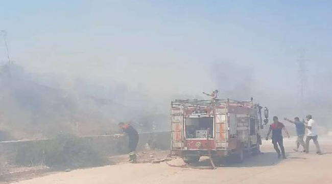 Bodrum'da makilik yangını