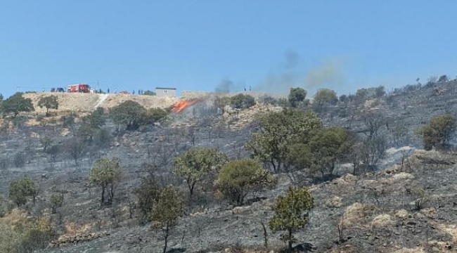 Bodrum'da makilik yangını