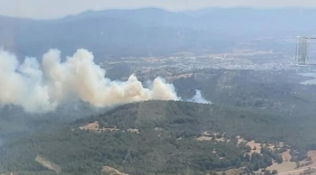 Bodrum'da orman ve makilik yangını