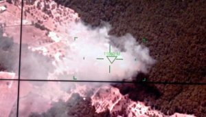 Bornova'da orman yangını