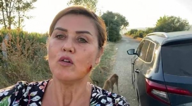 Boş araziye bırakılan 20 köpekten 6'sı ölü bulundu