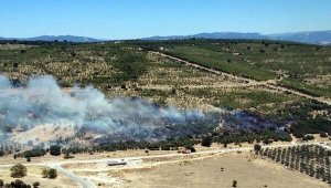 Bu kez Bergama ormanları yanıyor