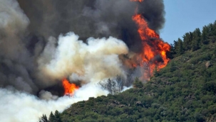 Bu kez Seferihisar! İzmir'de yangınlar sürüyor