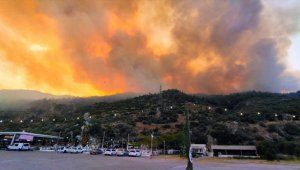 Bu kez Söke yanıyor! Aşırı rüzgar alevleri yaydı