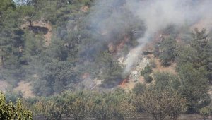 Çanakkale'de orman yangını