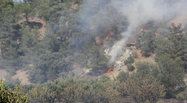 Çanakkale'de orman yangını