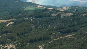 Çanakkale'de ormanlara giriş yasaklandı