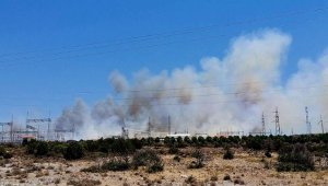 Çeşme'de büyük yangın