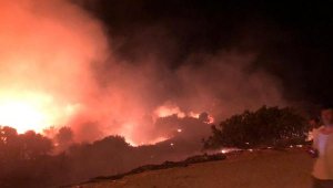 Çeşme'de yangın evleri tehdit ediyor