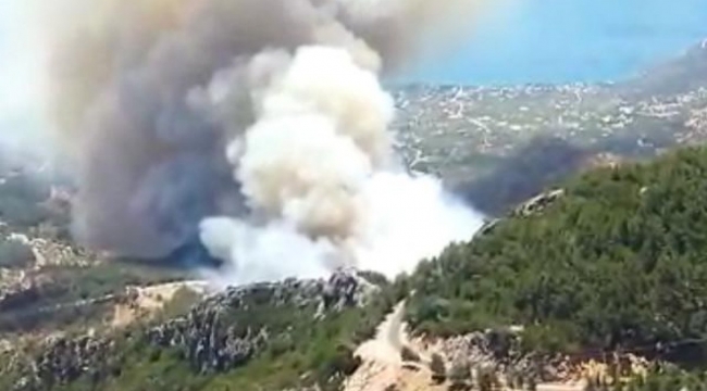 Datça'da deniz manzaralı orman yangını