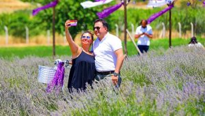 Didim'in Lavanta Festivali'ne vatandaşlar yoğun ilgi gösterdi