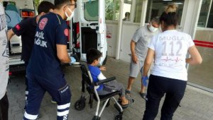 Dondurma yerken köpek saldıran çocuk yaralandı