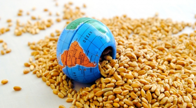 Dünya tahıl krizini Türkiye çözdü