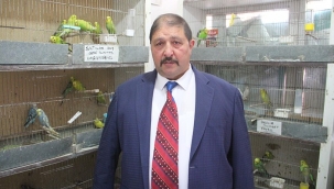 Gülmeyin! Petshoplar, Kasaplar Odası'na bağlandı